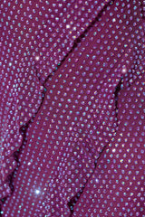 Embellished Ruffle Mini Dress in Plum