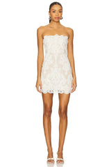 X Revolve Amanda Mini Dress
